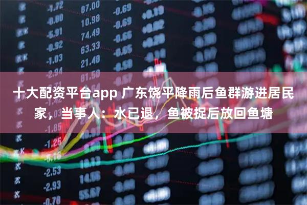 十大配资平台app 广东饶平降雨后鱼群游进居民家，当事人：水已退，鱼被捉后放回鱼塘