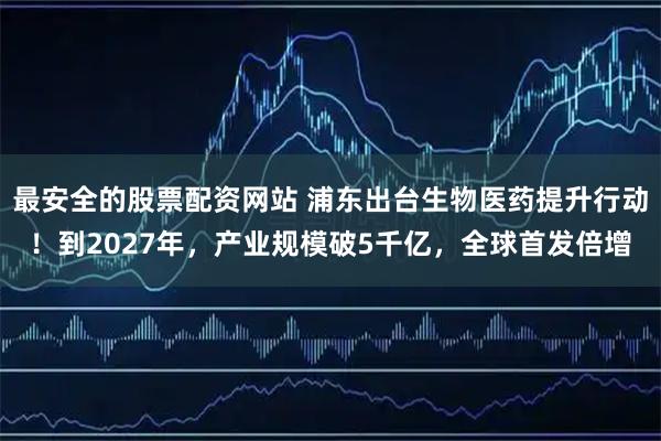 最安全的股票配资网站 浦东出台生物医药提升行动！到2027年，产业规模破5千亿，全球首发倍增