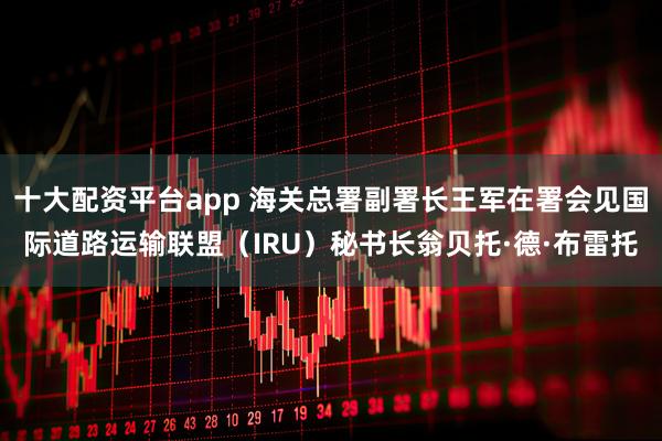 十大配资平台app 海关总署副署长王军在署会见国际道路运输联盟（IRU）秘书长翁贝托·德·布雷托