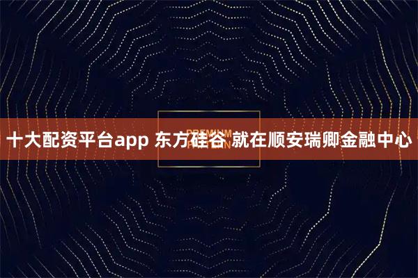 十大配资平台app 东方硅谷 就在顺安瑞卿金融中心
